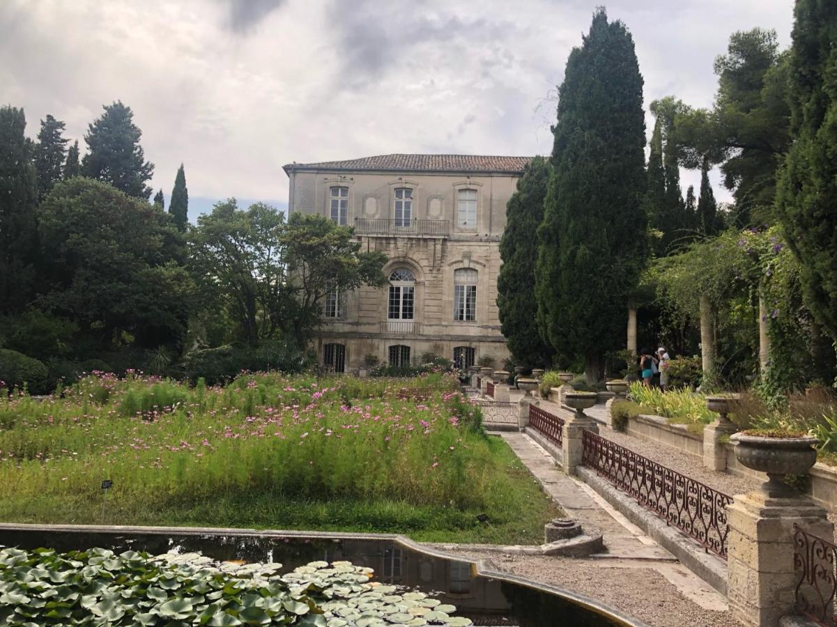 Avignon With Love Appart Hotel Avignon Eksteriør billede